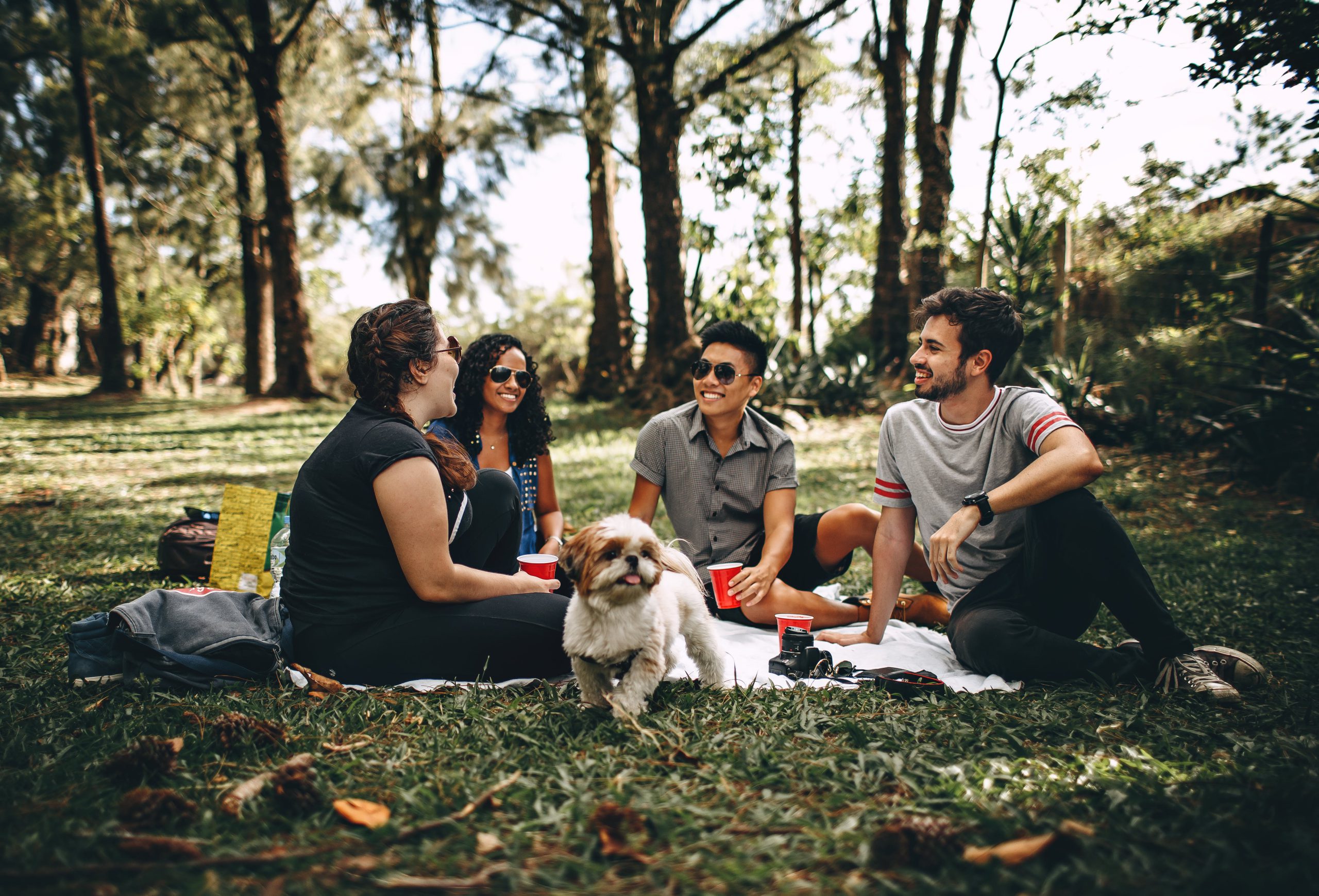 Group of friends and dog hang out in a park in Bloomfield, Connecticut